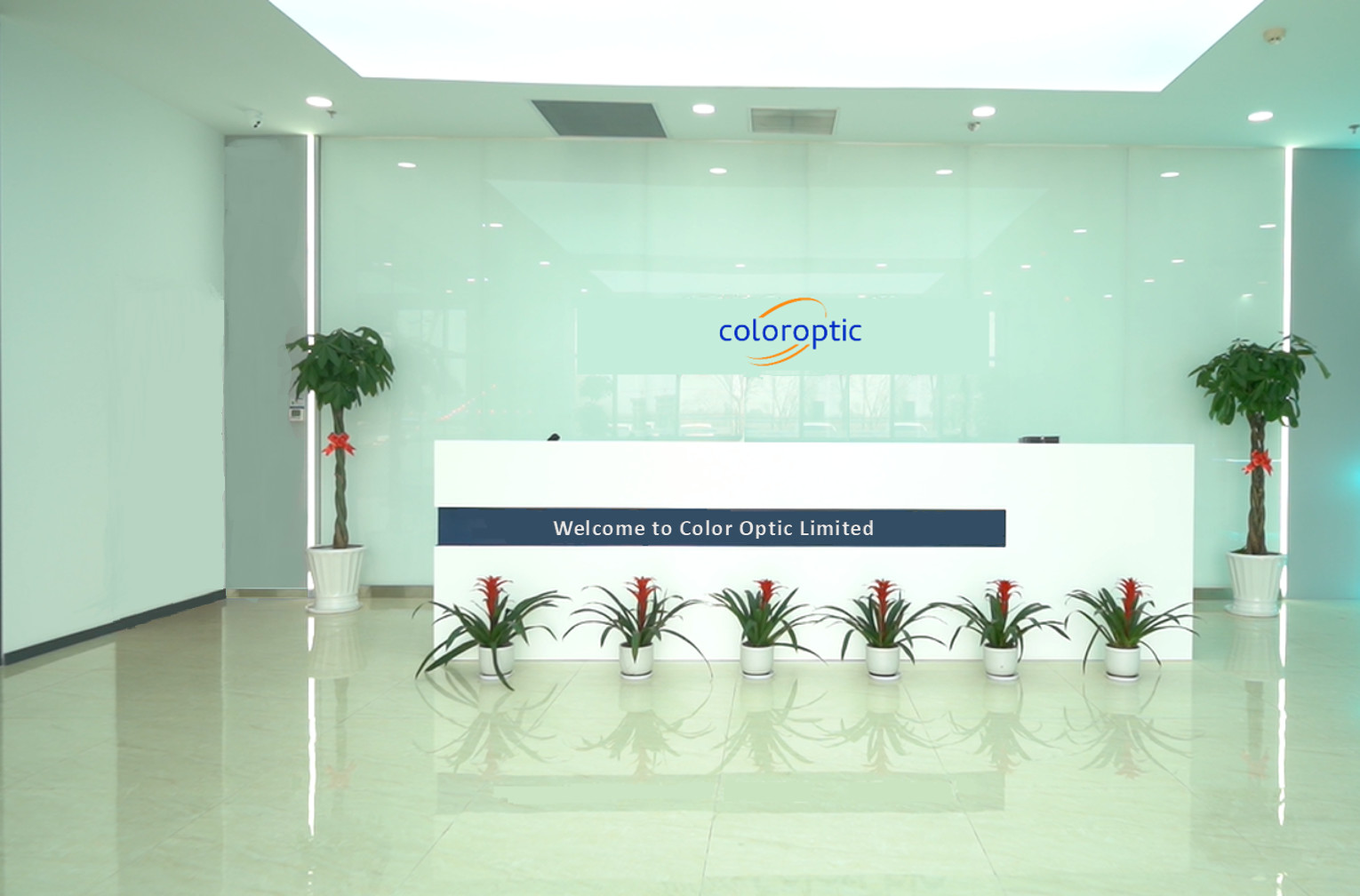 China Color Optic Limited company profile
