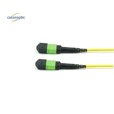 Passive Optical Single Mode Patch Cord MPO-12 / APC-To-MPO12 / APC