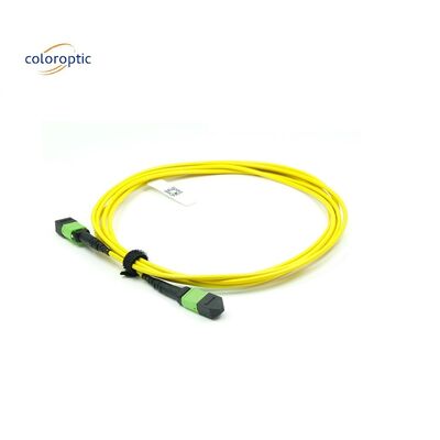 OM3 MPO Patch Cord 12 Core Aqua Fiber Optic Connector For Efficient Networking